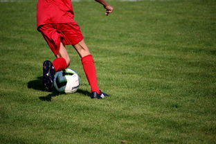 乐鱼体育在线入口-CBA球队加强后勤保障体系优化训练和比赛准备,cba后备联赛 第1张 乐鱼体育在线入口-CBA球队加强后勤保障体系优化训练和比赛准备,cba后备联赛 第1张