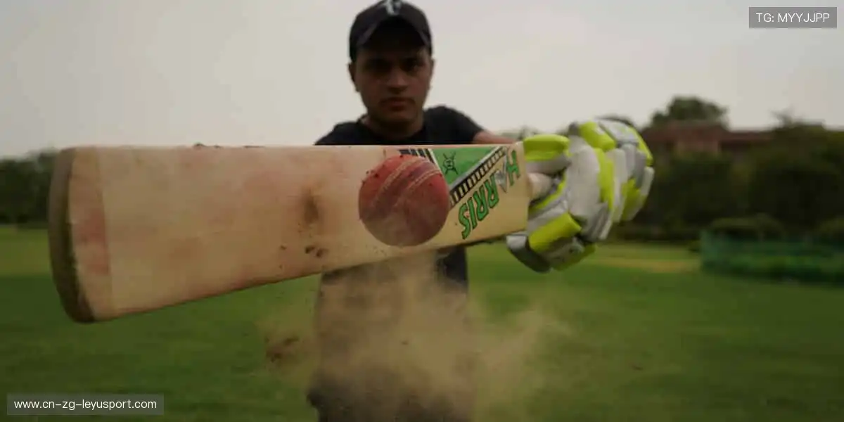 🎯 你的专属运动装备库,即刻解锁!