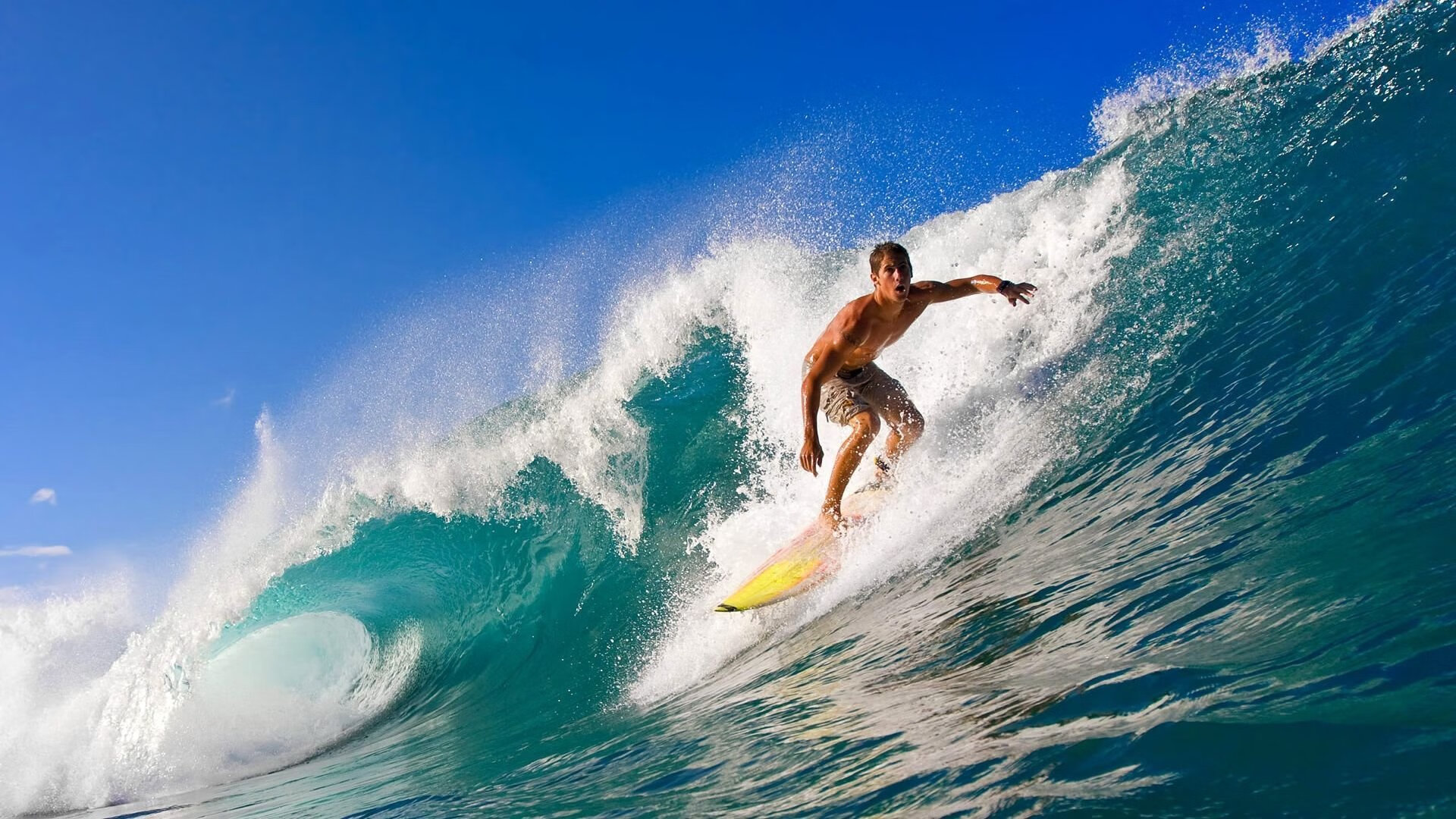 乐鱼体育官网登录-“东安湖体育公园迎来跑酷明星，挑战全新极限”  第2张