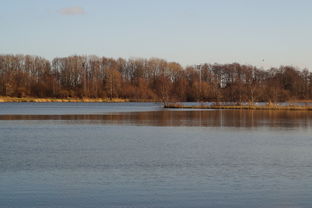 乐鱼体育官网登录-“东安湖体育公园迎来跑酷明星，挑战全新极限”  第3张