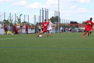 乐鱼体育app官网入口-中国足球联赛俱乐部投资环境逐步改善,中国足球俱乐部改革 第1张 乐鱼体育app官网入口-中国足球联赛俱乐部投资环境逐步改善,中国足球俱乐部改革 第1张